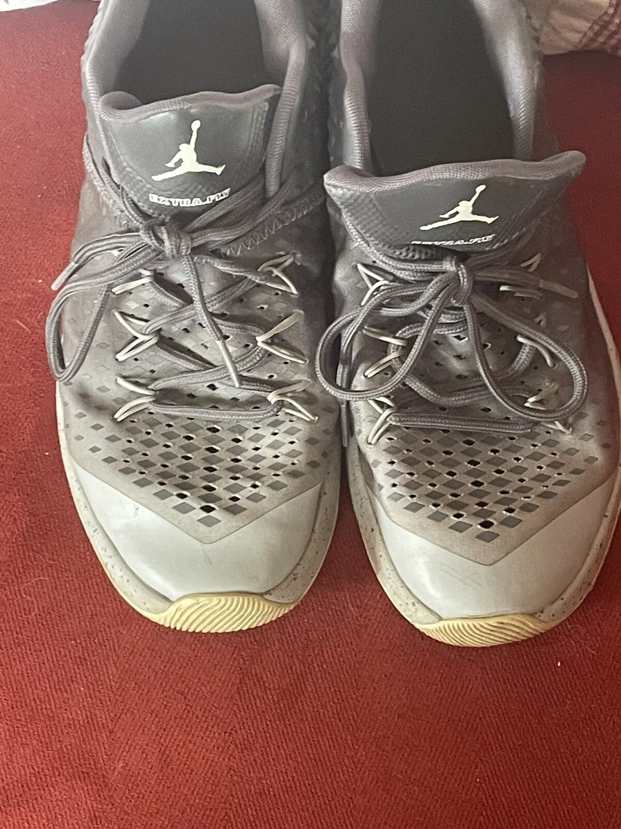 Jordan Extra Fly Gray for Sale | Authenticity Guaranteed | eBay display picture 1