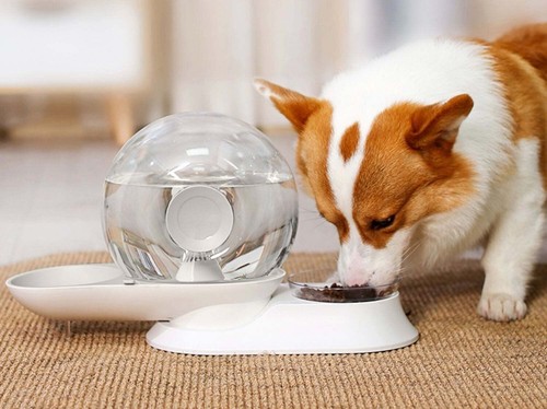 POPOCOLA Snail-Shaped Water Bowl And Feeder - Picture 7 of 11