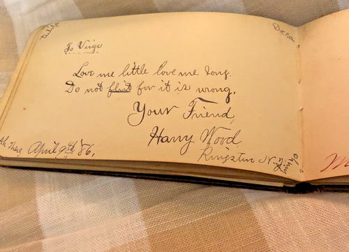 Antique Victorian Autograph Album Blodgett’s Mills New York 1880's Virge Low NY - Picture 19 of 24