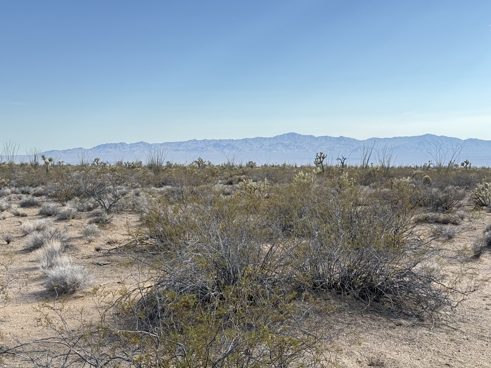 Arizona Land for Sale - 40 acres 