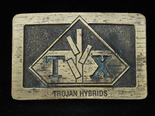 OG15120 VINTAGE 1970s TROJAN HYBRIDS TRACTOR FARMING BRASSTONE BELT BUCKLE
