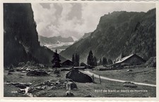 Swiss postcard Vaud Pont de Nant Dents de Morcles farm (10881)