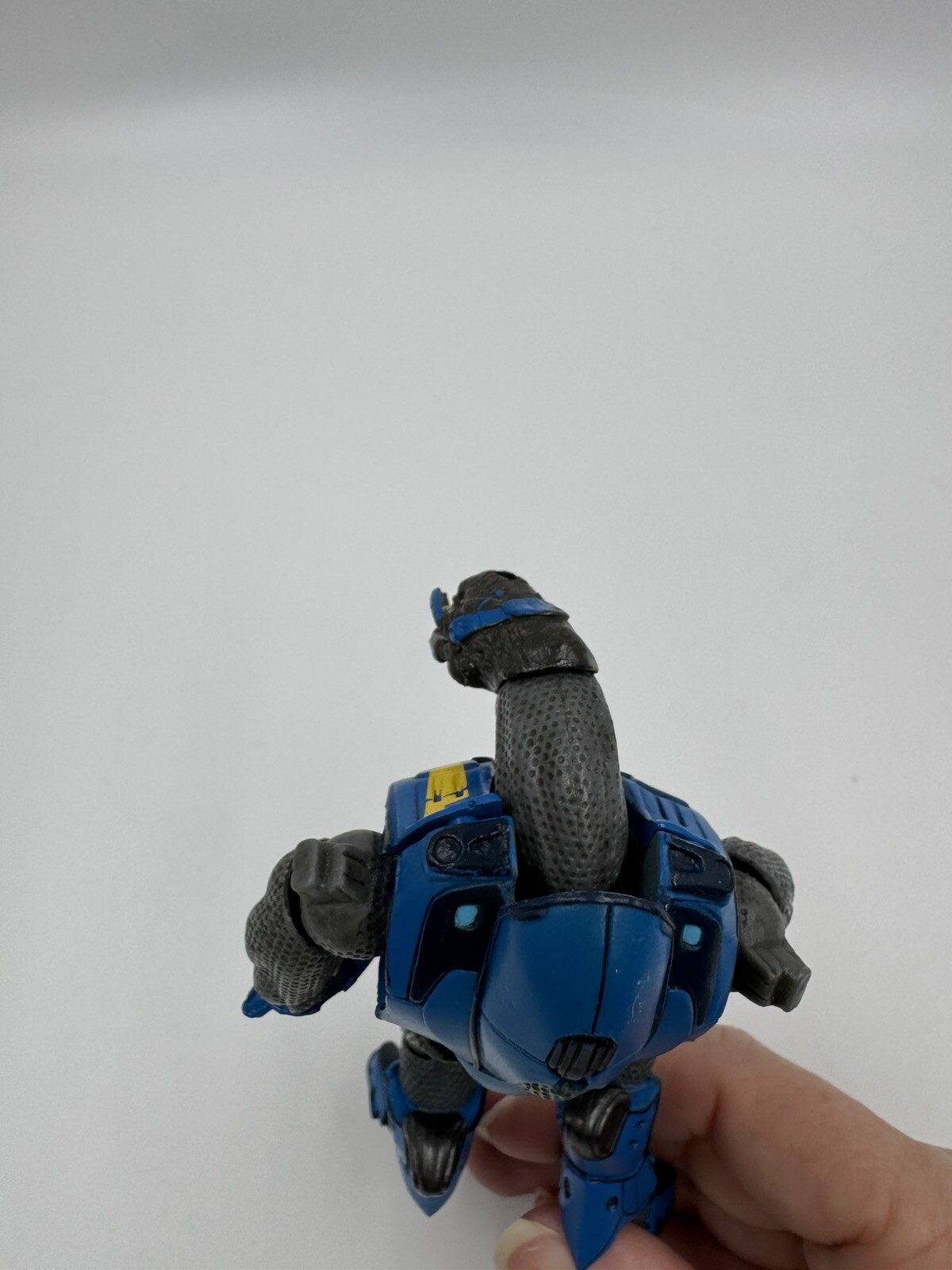 Picture 5 of 8
