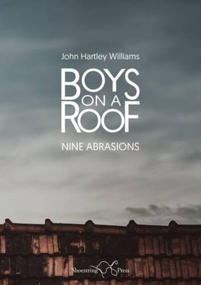 Boys on a Roof: Nine Abrasions by John Hartley Williams 9781910323304 NEW