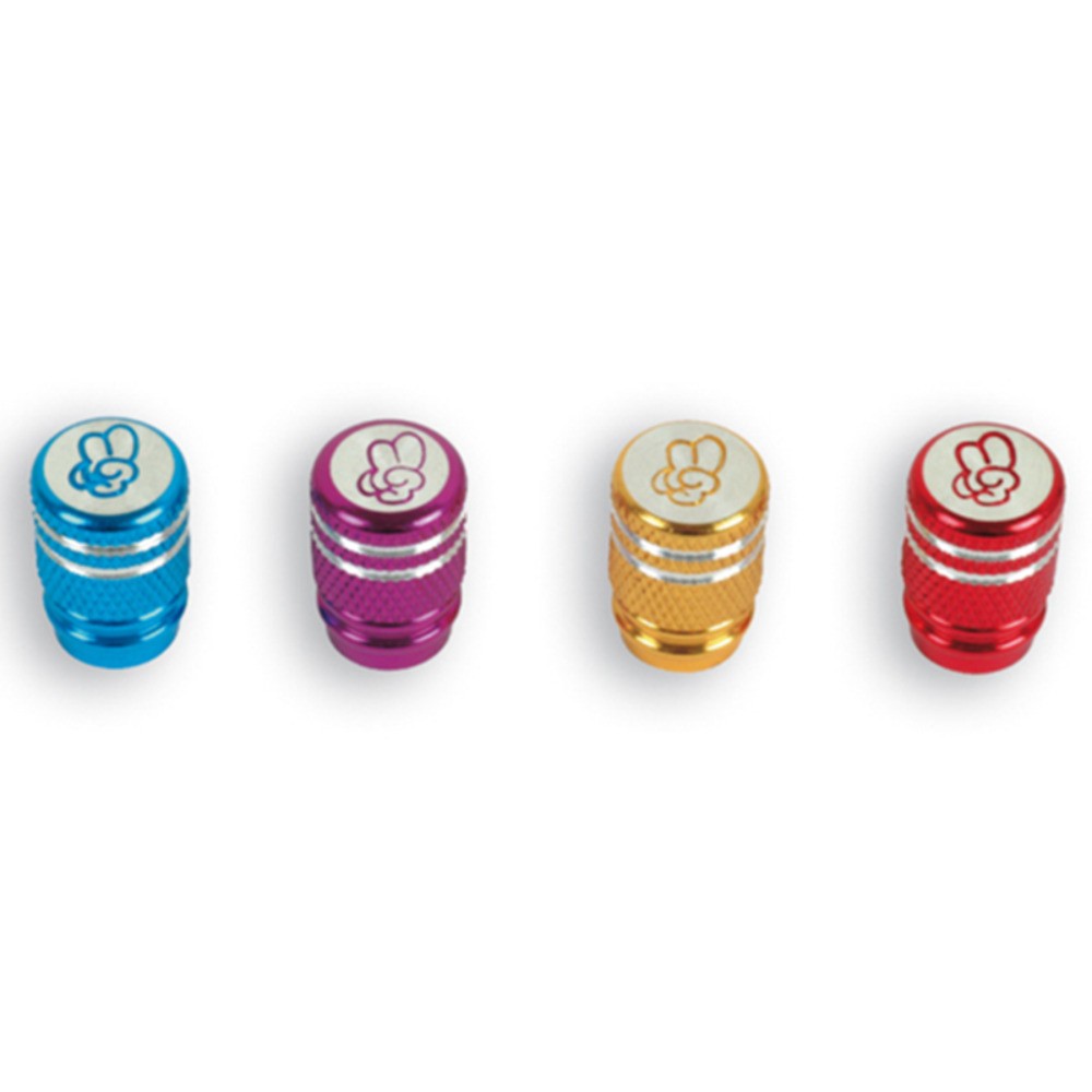 Free Shipping Valve Caps Type V. Black For Bike Accessories