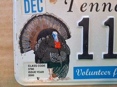 License Plate, Tennessee 2006 Specialty: Wildlife, Turkey, 1196 WT