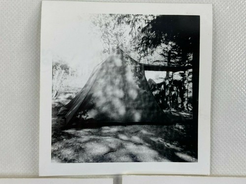 Tents At Campsite In The Forest Lot Of 3 B&W Photograph Snapshot 3.5 x 3.5 - Picture 2 of 5