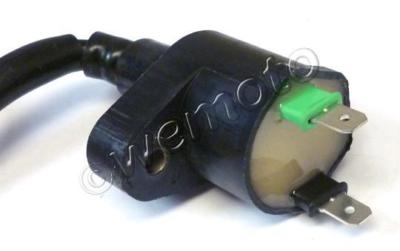 Alternative Spule schwarz - 2 Pin - 6V / 12V Peugeot Zenith LM 50cc 95-98