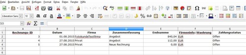Rechnungsprogramm Warenwirtschaft Lagerverwaltung Dienstleistungen macOS Windows - 第 6/14 張圖片