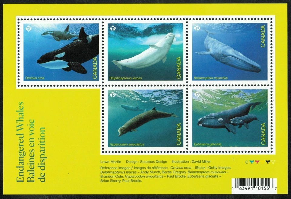 Canada sc#3327 Endangered Whales, Souvenir Sheet, Issued May 20, Mint-NH - Image 3 of 4