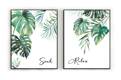 philodendron prices Philodendron 'Imperial' Assorted