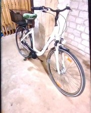 Pegasus-Damen-Fahrrad