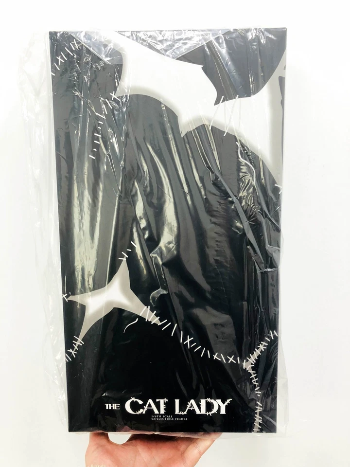 In Stock New ETERNAL ET-X10 1/6 Cat Lady Selina Collectible Action Figure Model - Image 2 of 4