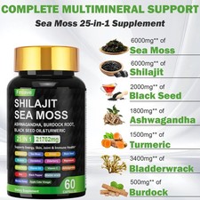 Sea Moss, Black Seed Oil, Ashwagandha, Turmeric Ginger Shilajit Burdock 60 caps