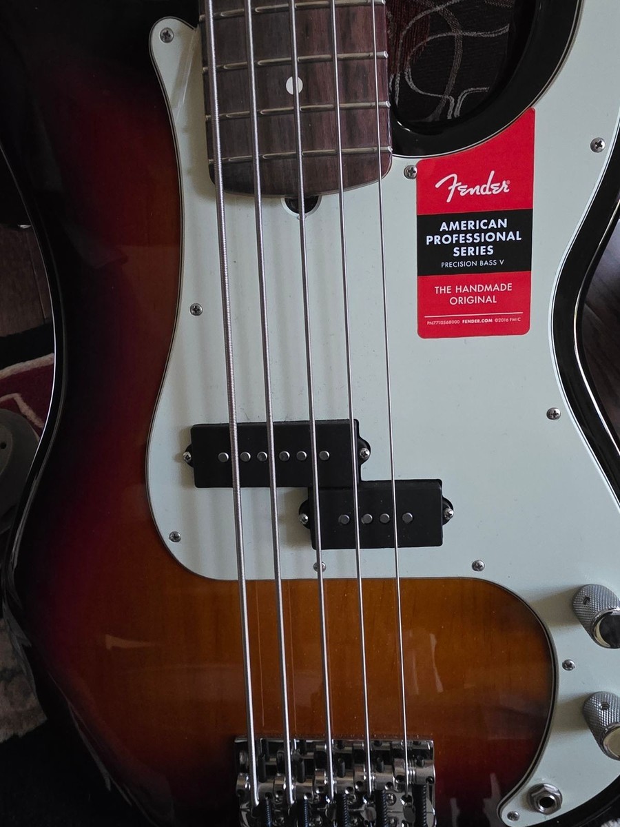 Fender American Professional II Precision Bass V (5-String) | eBay