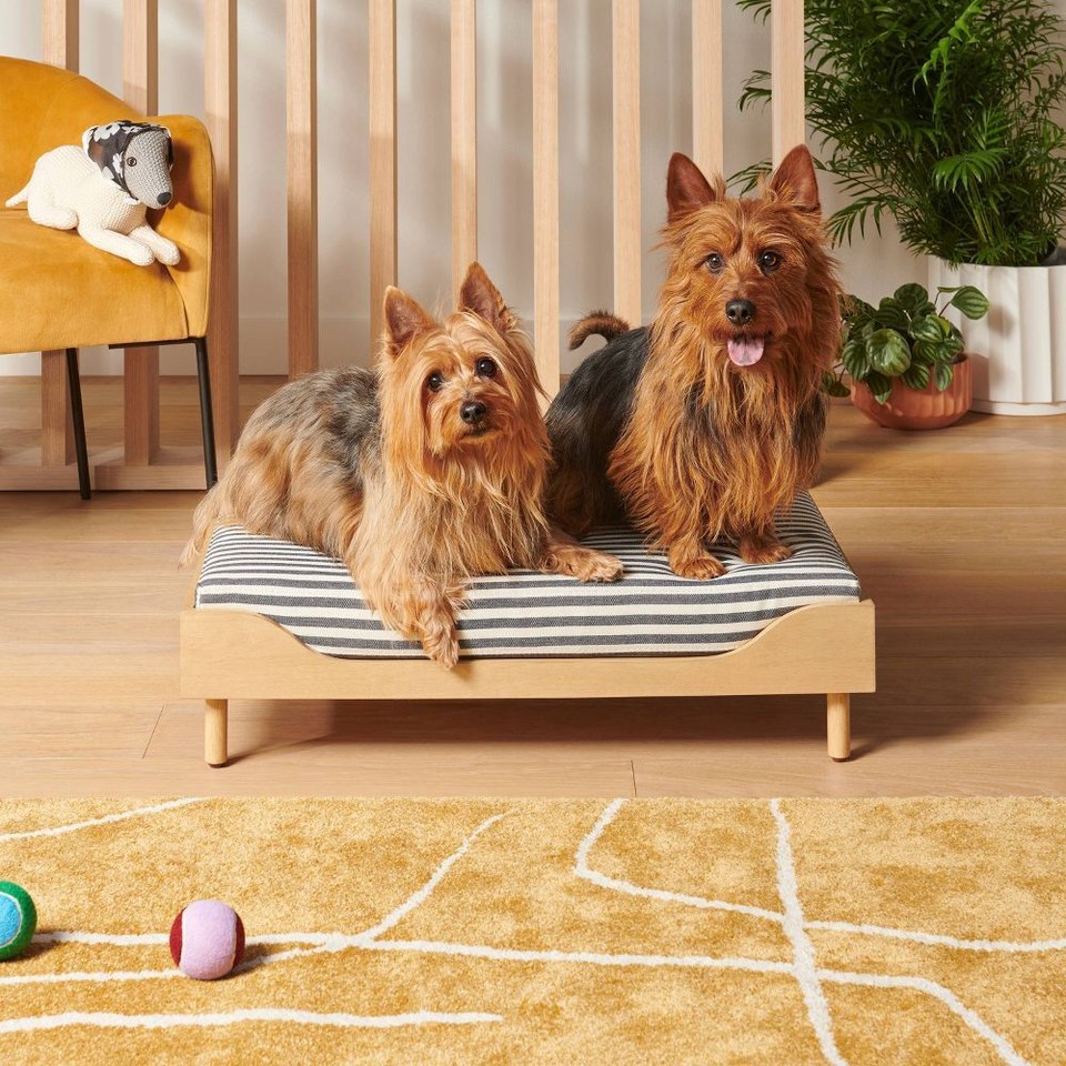 Modern Pet Bed Frame The Cuddle Collab L XL EBay modern-pet-bed-frame-the-cuddle-collab-l-xl-ebay
