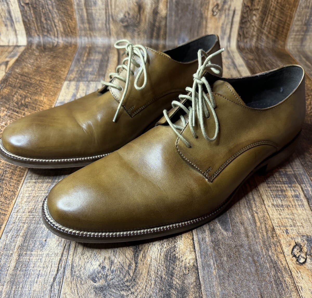 SAOLA Oxford derby Cole Haan Hawthorne punta liscia pelle marrone C12206 uomo 11M