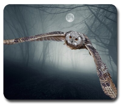 Flying Owl Full Moon ~ Mouse Pad / PC Mousepad ~ Bird Goth Night Birding Gift