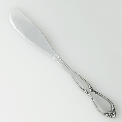 Vajilla Oneida Community CHATELAINE Inoxidable Betty Crocker Brillante ELECCIÓN - Imagen 5 de 37