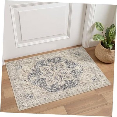 Area Rug 2x3 Doormat - Washable Vintage Oriental Farmhouse Soft