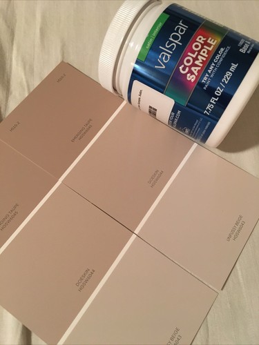 VALSPAR brand Color Sample DOESKIN Base A Interior Satin 7.75 Fl Oz, Mixed Paint