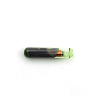 Transponder Chip ID48 T6 Glas Schlüssel für Fiat Punto Stilo Ducato Alfa Lancia