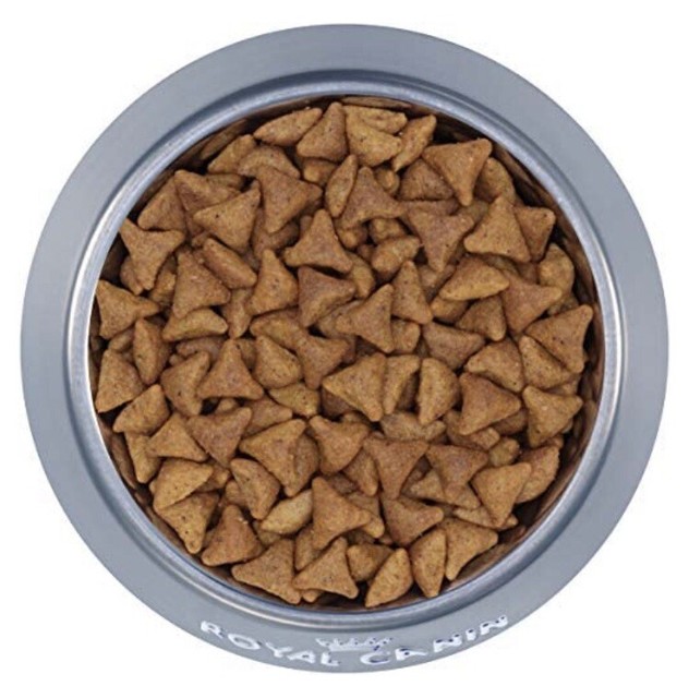 royal canin dry