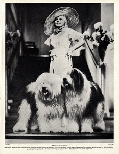 1930s Vintage OLD ENGLISH SHEEPDOG Print Jean Harlow & Her Sheepdogs 6607g