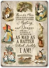 Agedsign Alice in Wonderland Poster, Vintage Tin Metal Signs There is a Place Qu