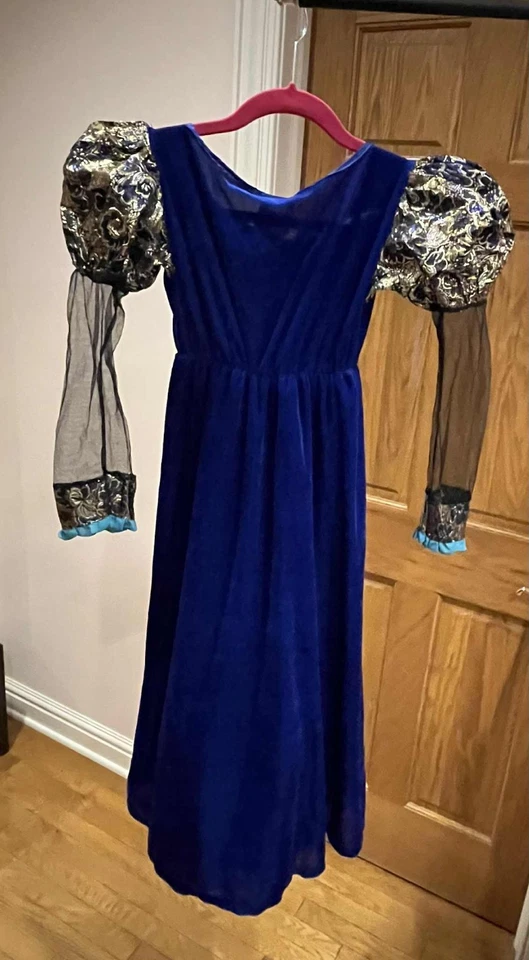 Rubies Girls Camelot Princess Velour Full-length Dress Halloween costume size M - Image 3 of 3