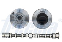 Nockenwelle Einlassseite FÜR VW Tiguan (5N ) - Freccia CM05-2274