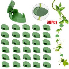 30Pcs Plant Fixture Clip Plant Climbing Wall Self Adhesive Tied Vine Buckle Hook