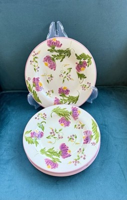 Set Of 4 Paula Deen Dinner Plates Slight Abrasion On Back Of One Plate 9.75 