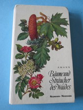 Bäume und Sträucher des Waldes: Taschenbild...