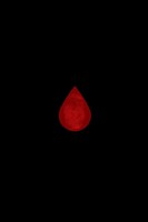 Various Authors | Bleed | Taschenbuch | Englisch (2020) | Tonii Inc