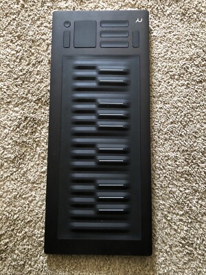 Roli Seaboard Rise 25