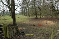 Photo 12x8 Field for sheep near Manor Farm Tadcaster There is plenty of gr c2017