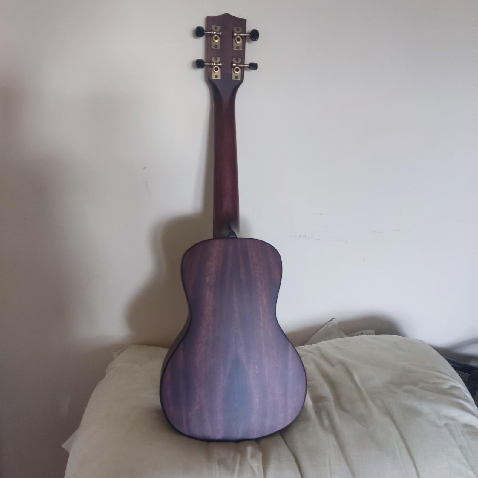 Picture 2 of 5