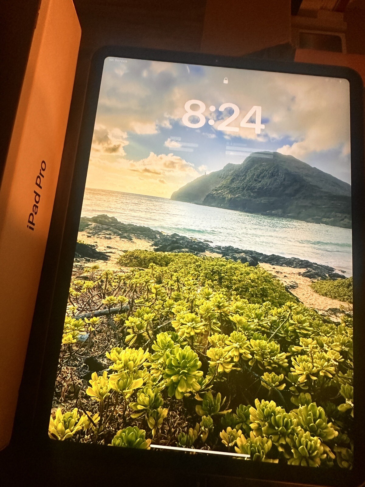 ipad pro 11 inch a2013-image