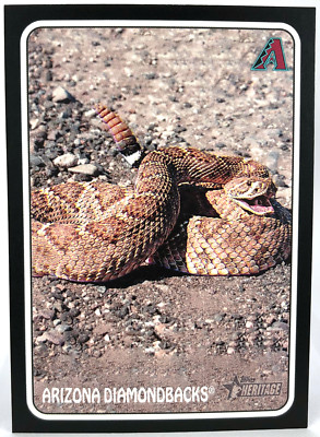 ARIZONA DIAMONDBACKS 2024 Topps Heritage Baseball Zoos Who Stick On