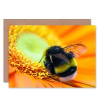 Hummel Blume Pollen Makro Natur Geburtstagskarte