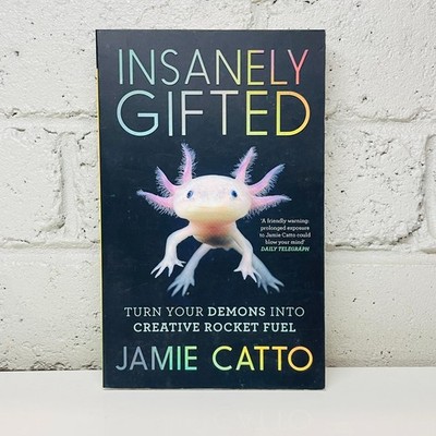 Insanely Gifted by Jamie Catto (Paperback Book) Self Help