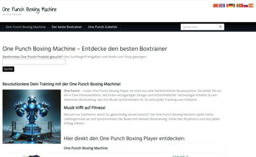 One-Punch.de - Affiliate Nischenseite, Webseite - mit TOP Google Platzierungen - Bild 1 von 1