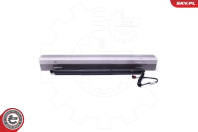 ESEN SKV 52SKV903 Elektromotor, Heckklappe für VW