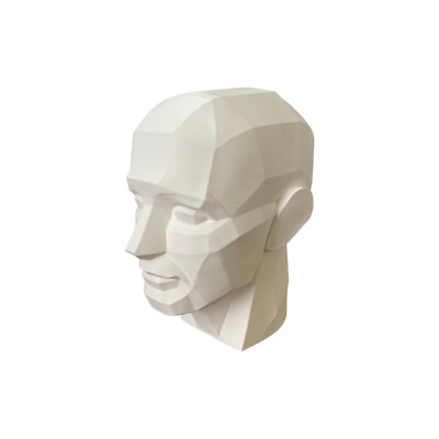 10'' 25.4 cm Planar Head, Planar Bust, Learn the Planes of the Head