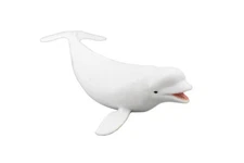 Beluga, White Whale, Arctic Realistic Toy Figure, Model, Replica, 7" CH380 BB142