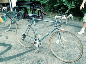 vintage windsor bikes