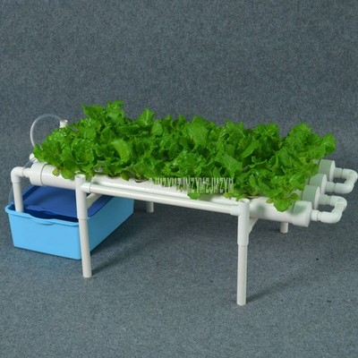 hydroponic hydroponics soilless nft