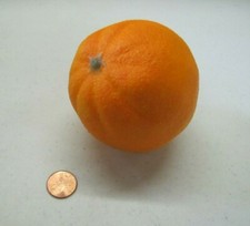 Realistic Navel Orange Tangerine Pretend Play Fruit Food Piece Part Prop Kitchen