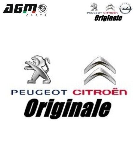 Foto 7 di 8